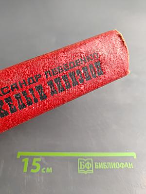 Тяжелый дивизион