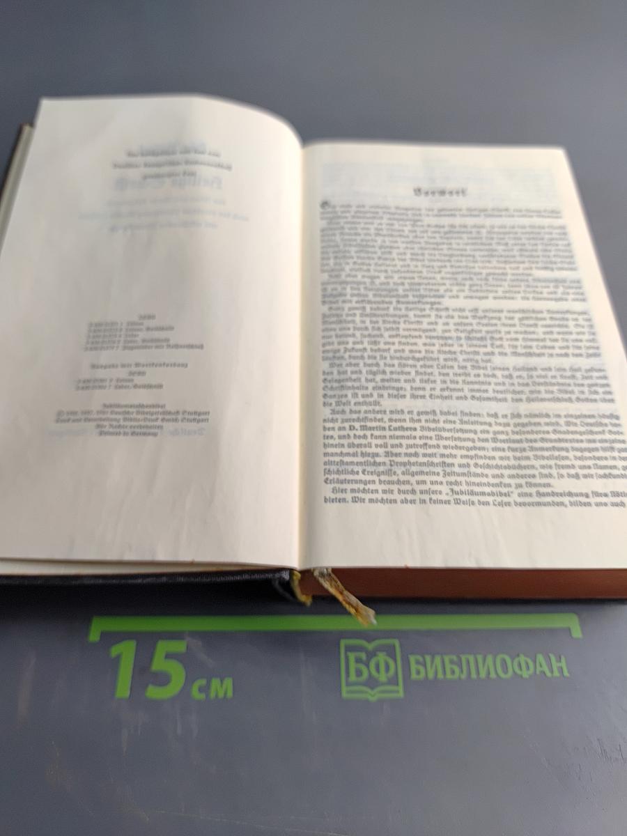 Die Bibel. Heilige Schrift
