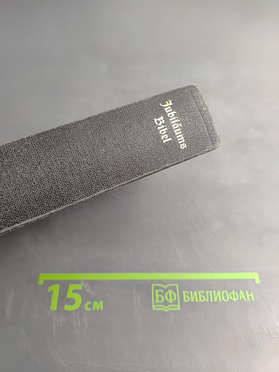 Die Bibel. Heilige Schrift