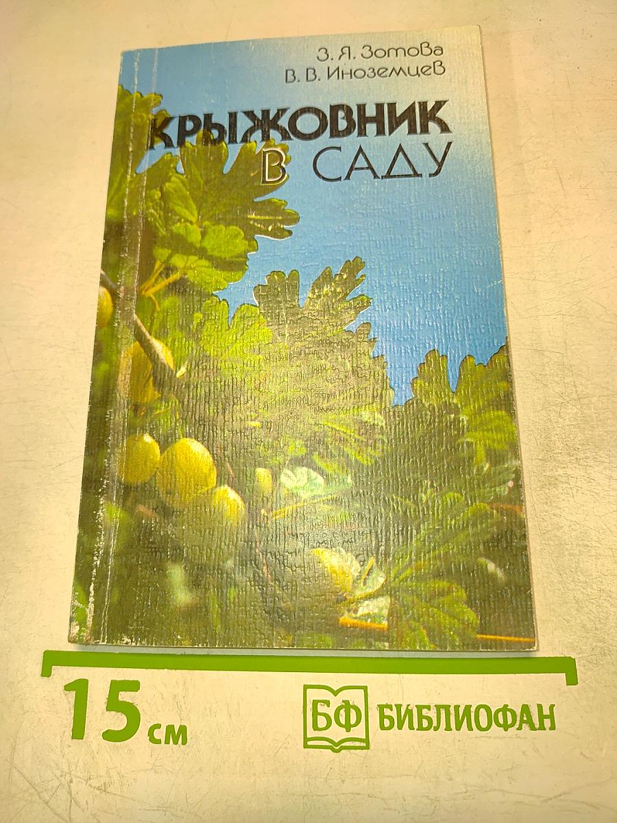 Крыжовник в саду