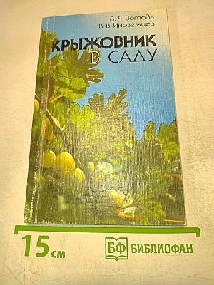 Крыжовник в саду