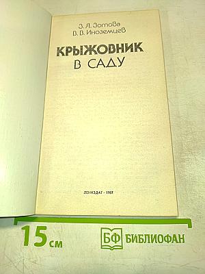 Крыжовник в саду