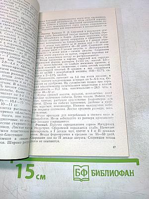 Крыжовник в саду