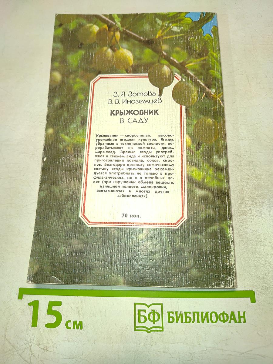 Крыжовник в саду