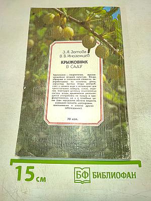 Крыжовник в саду