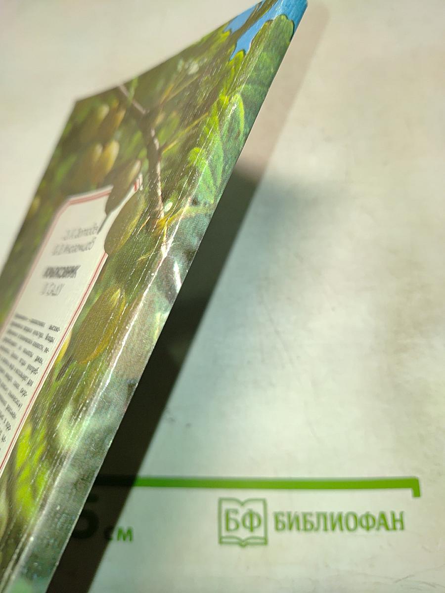 Крыжовник в саду