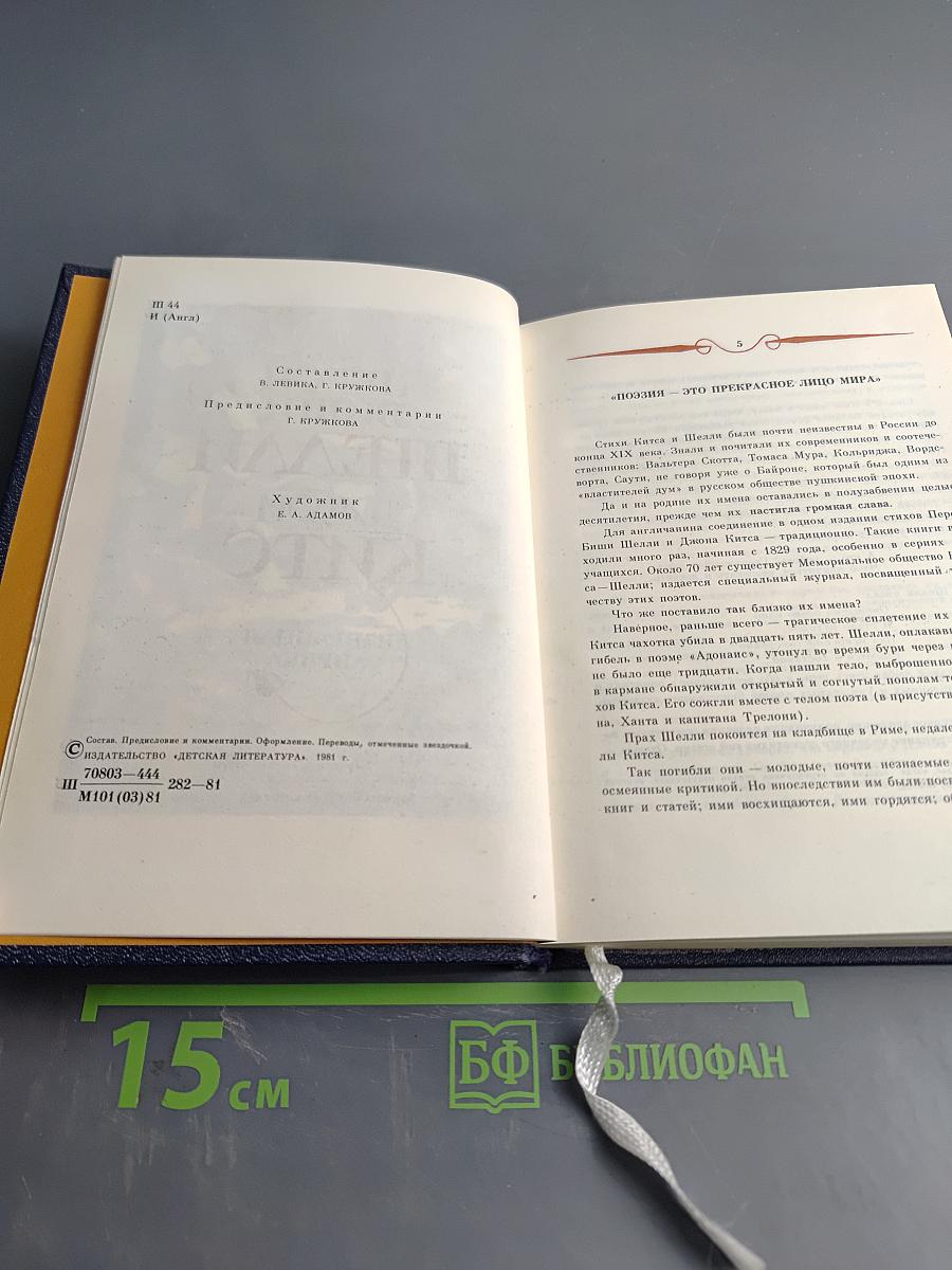 Избранная лирика