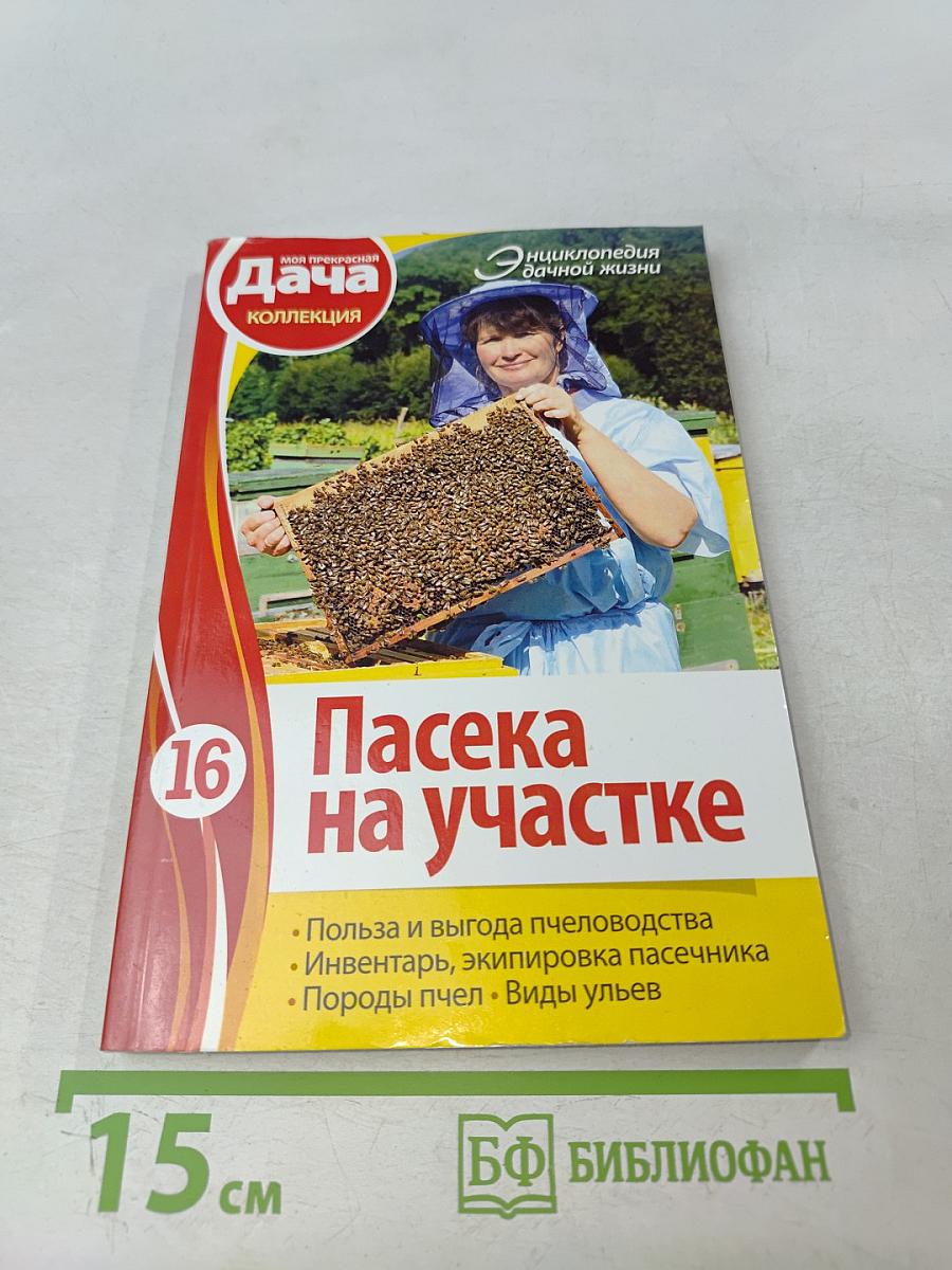 Пасека на участке