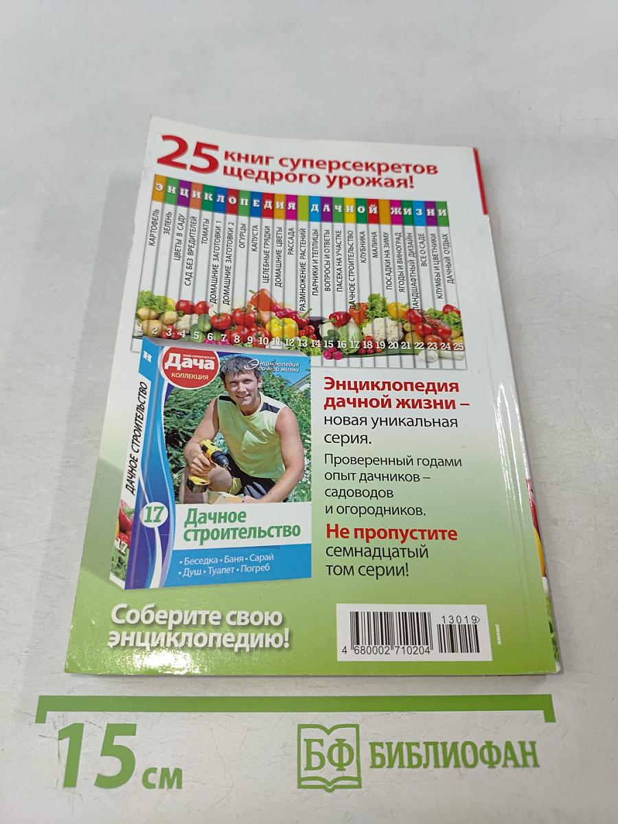 Пасека на участке