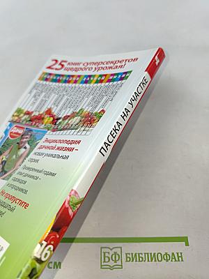 Пасека на участке