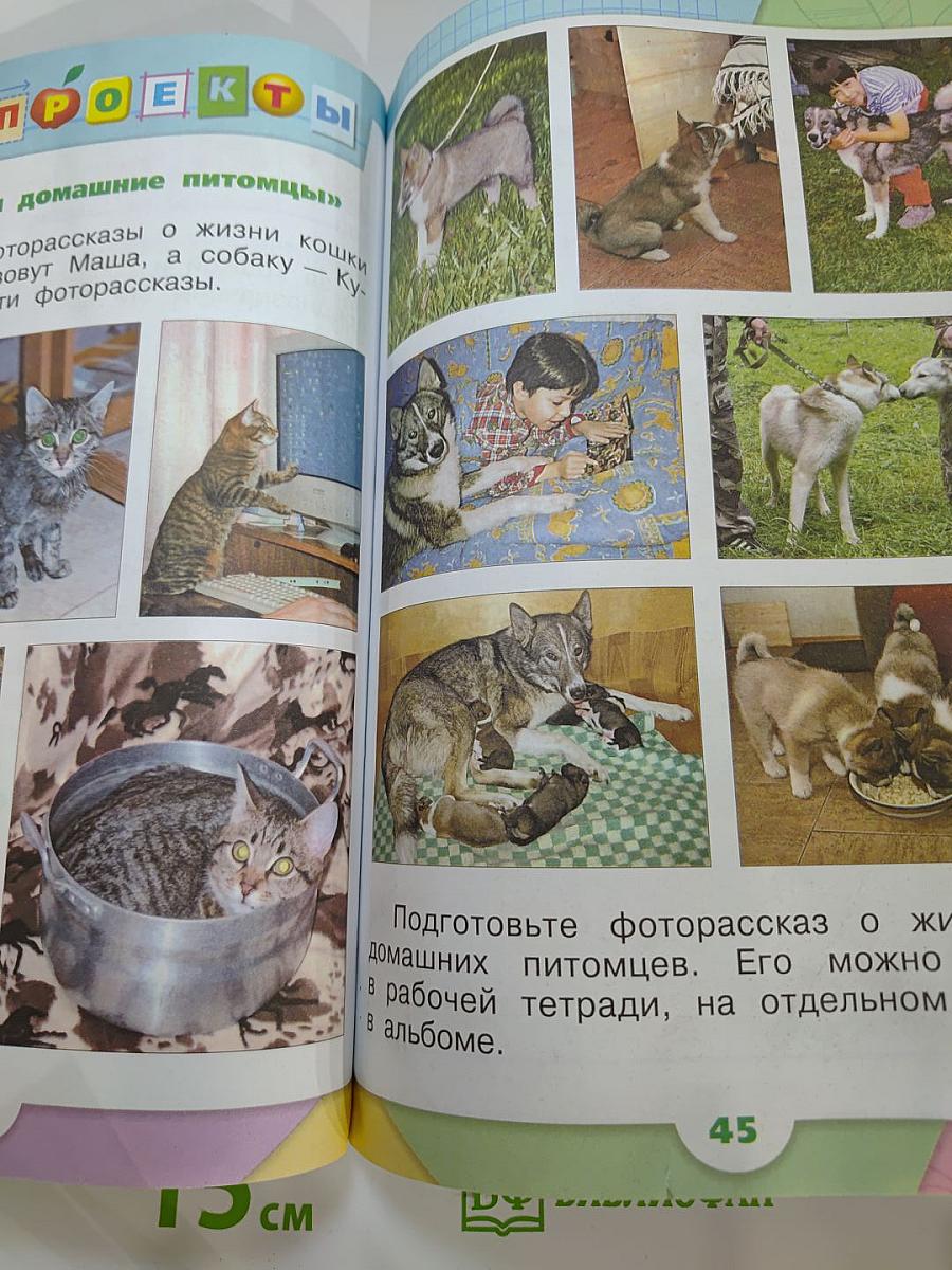 Окружающий мир 1 класс, Часть 2