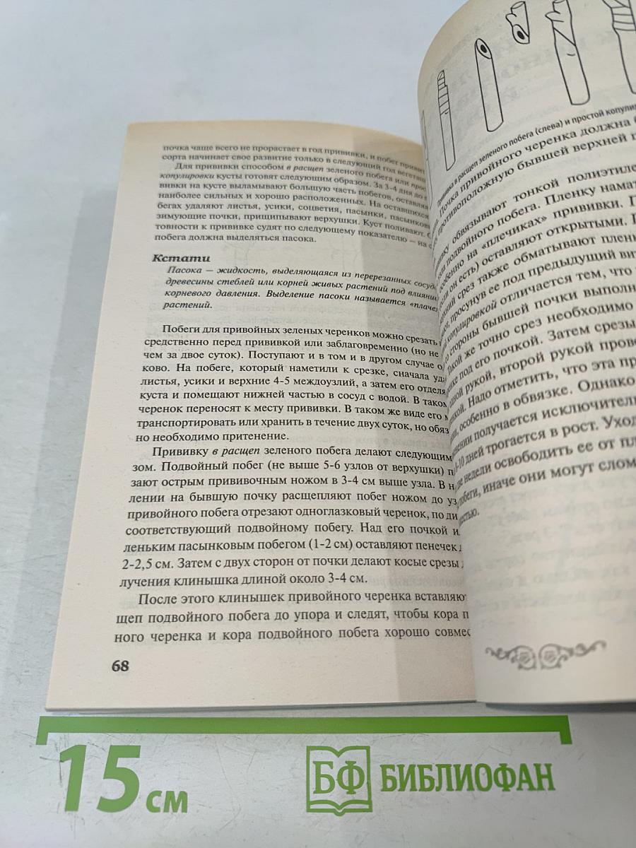 Ягоды и виноград