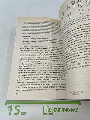 Ягоды и виноград