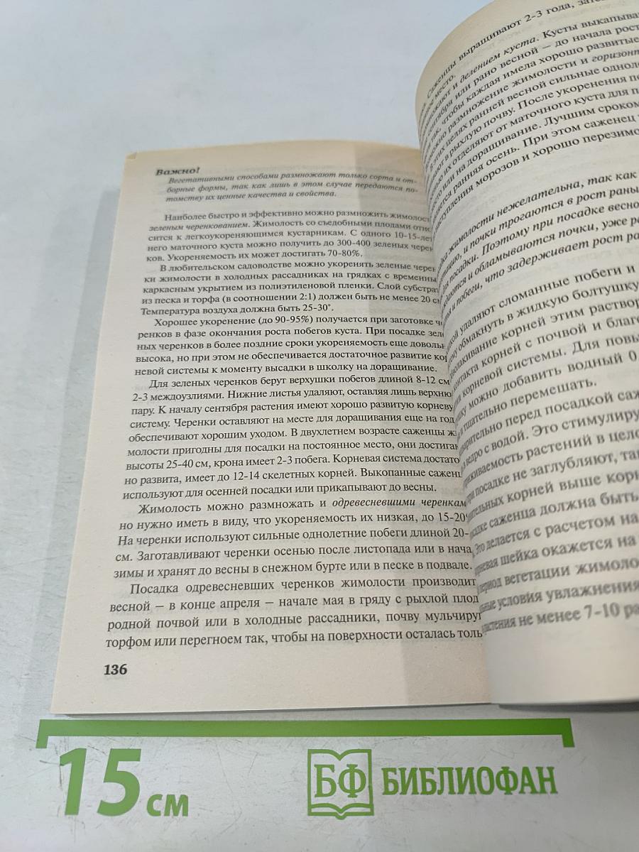 Ягоды и виноград