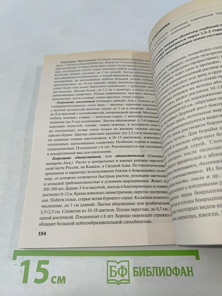 Ягоды и виноград