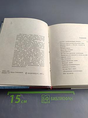 Неистовый. Повесть о Виссарионе Белинском