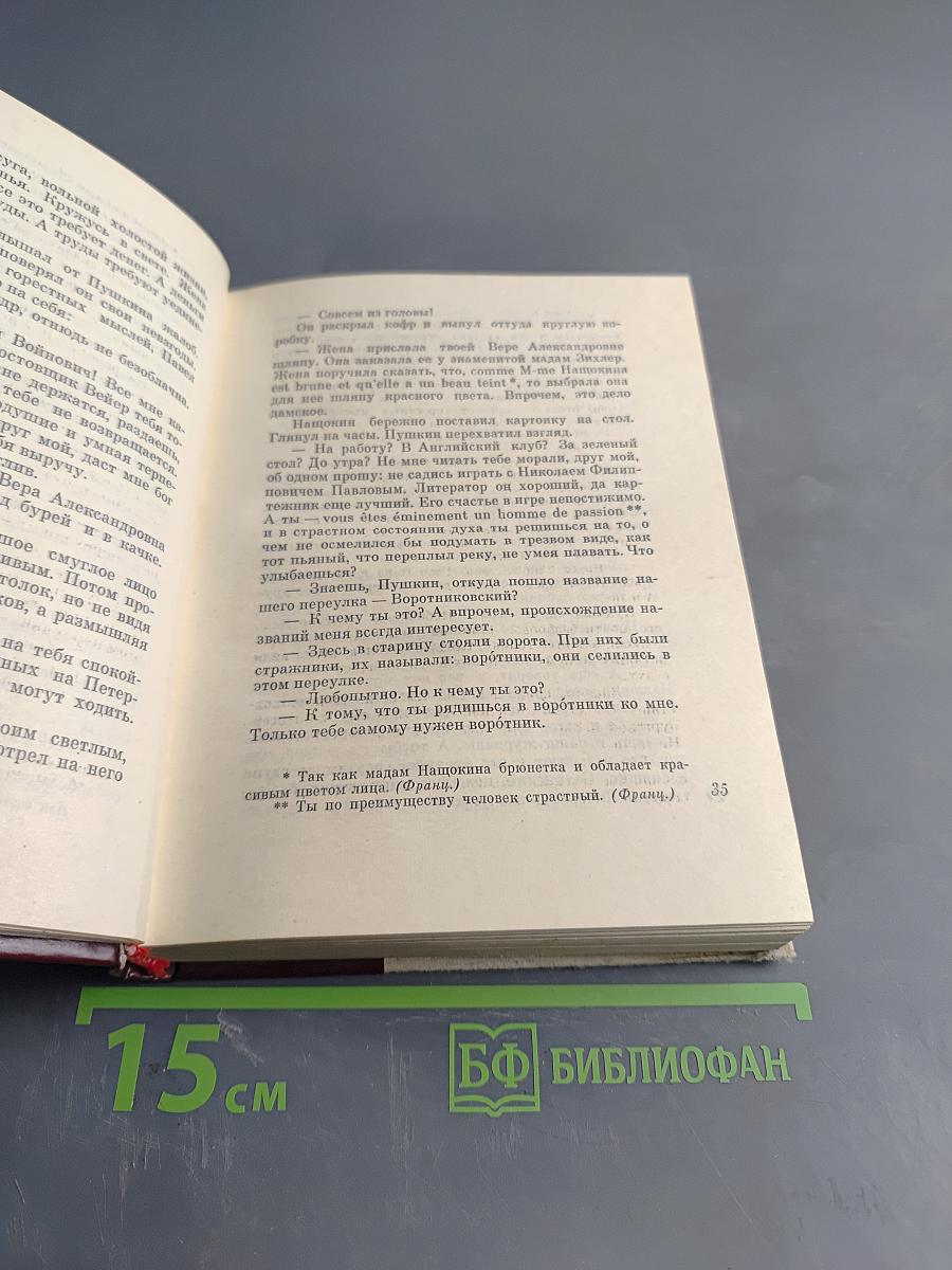 Неистовый. Повесть о Виссарионе Белинском