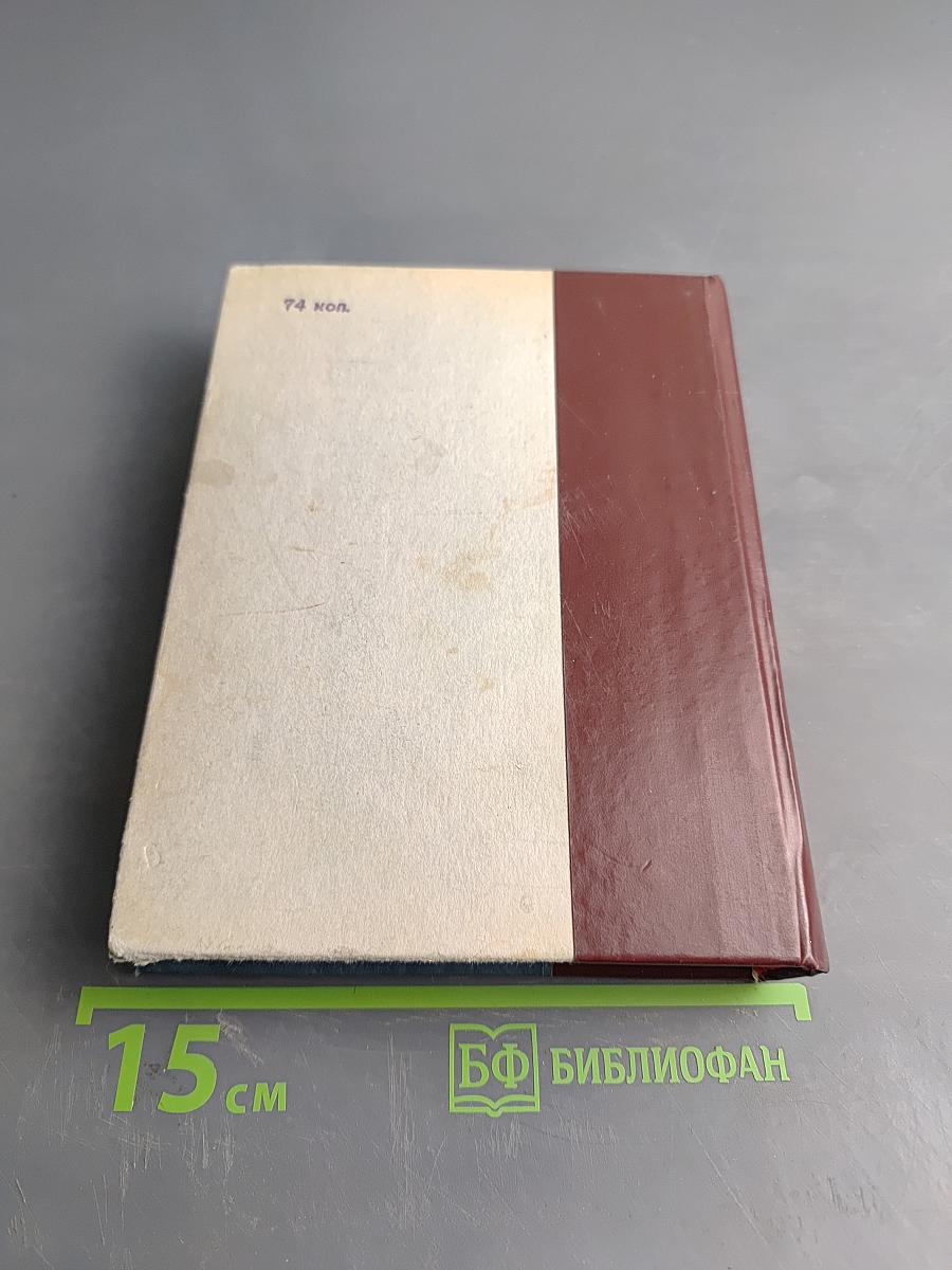 Неистовый. Повесть о Виссарионе Белинском