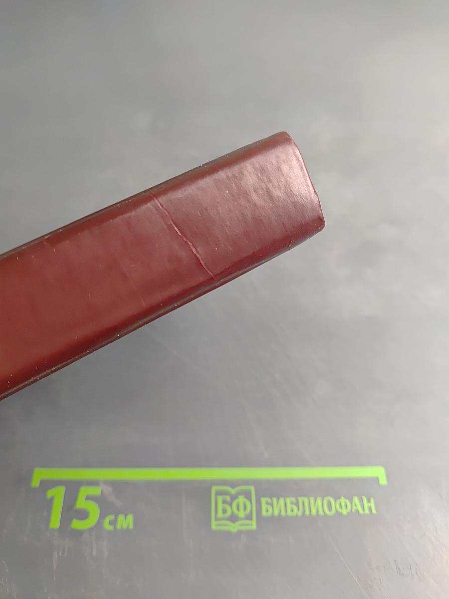 Неистовый. Повесть о Виссарионе Белинском