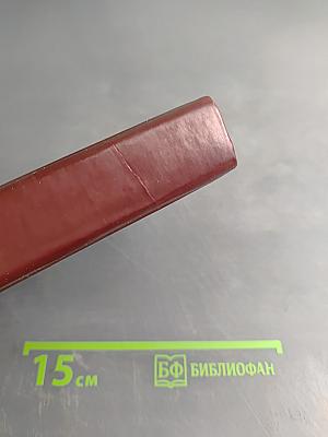 Неистовый. Повесть о Виссарионе Белинском