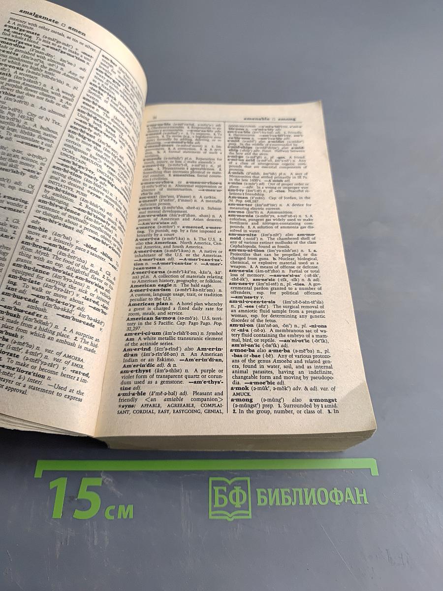Webster's II New Riverside Dictionary