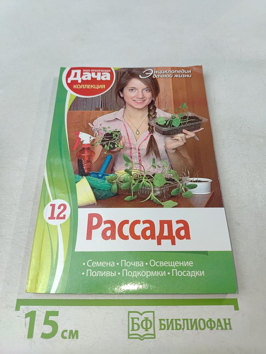 Рассада