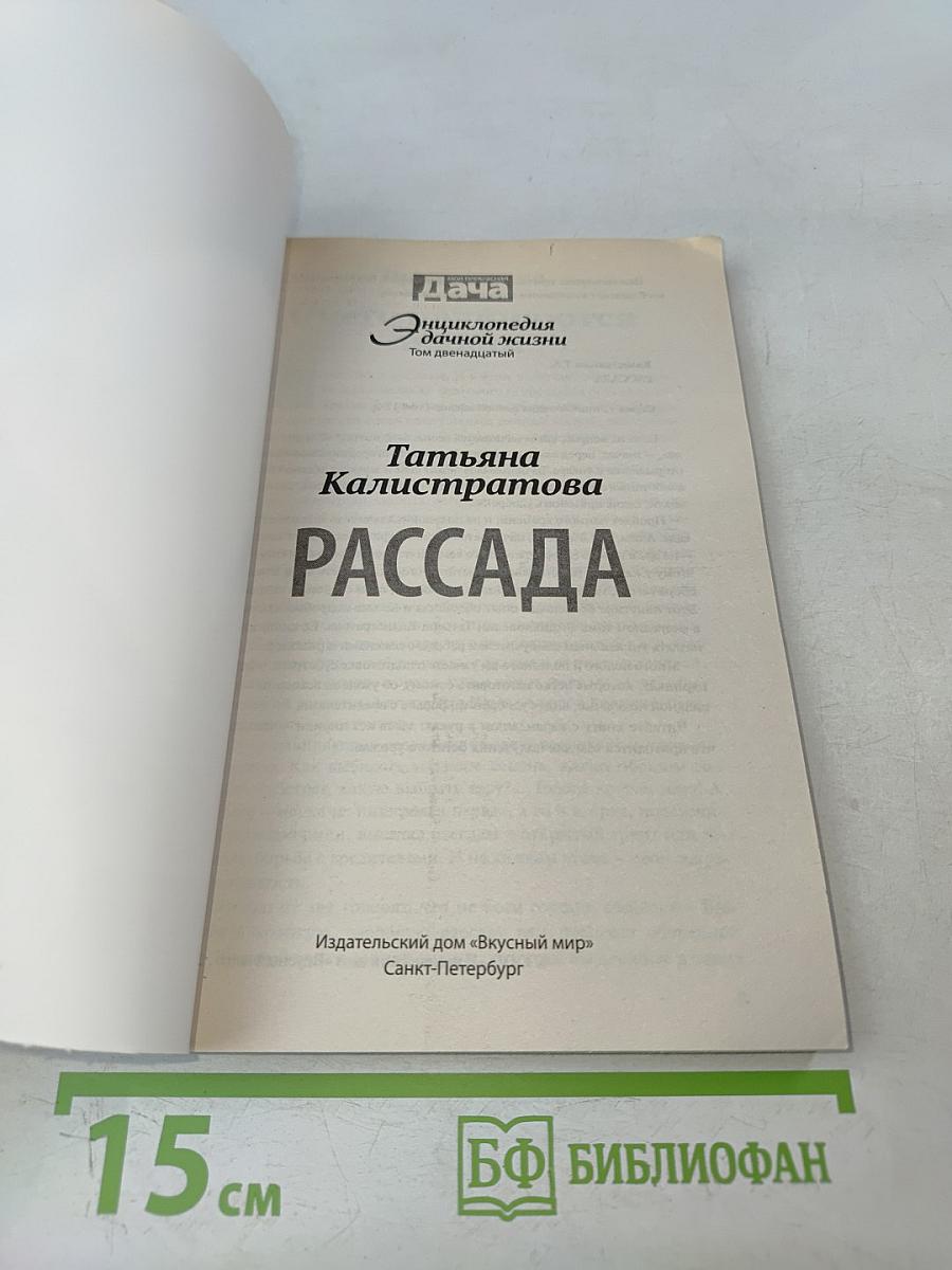 Рассада