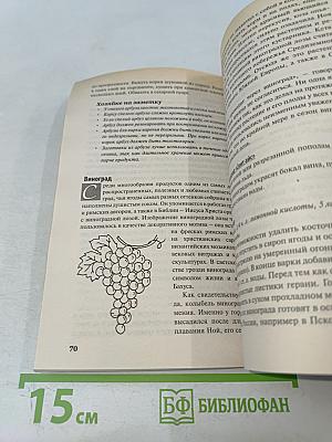 Домашние заготовки. Фрукты и ягоды. Книга вторая