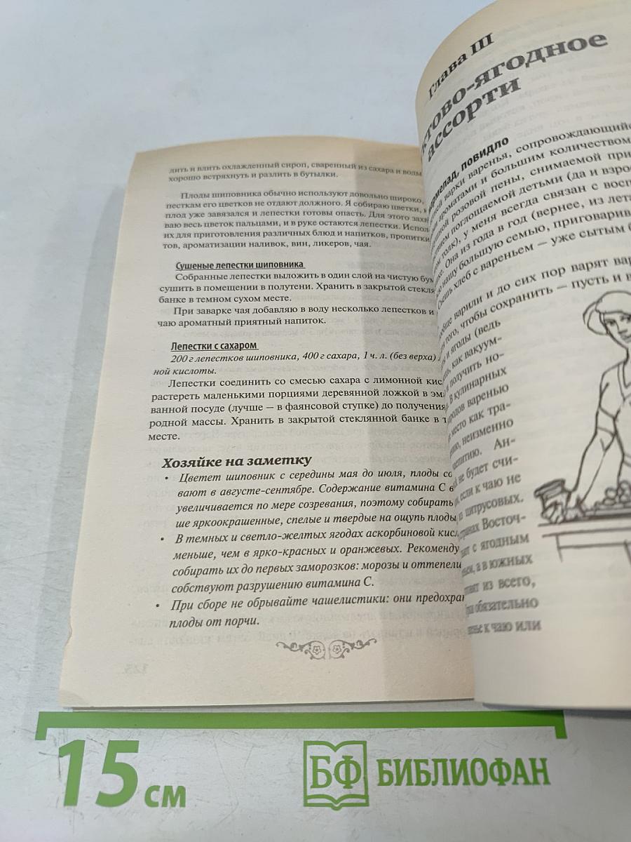 Домашние заготовки. Фрукты и ягоды. Книга вторая