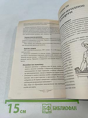 Домашние заготовки. Фрукты и ягоды. Книга вторая