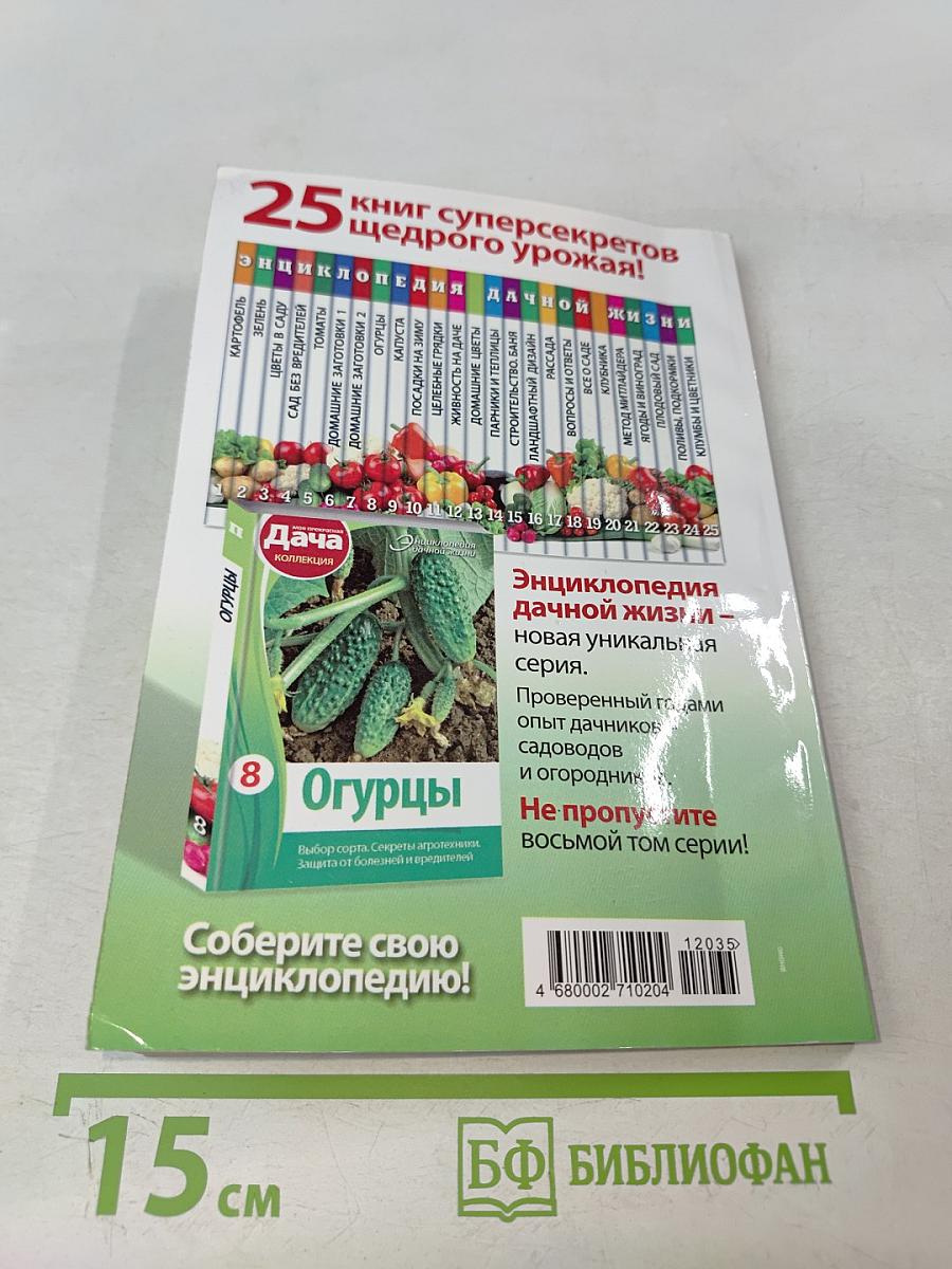 Домашние заготовки. Фрукты и ягоды. Книга вторая