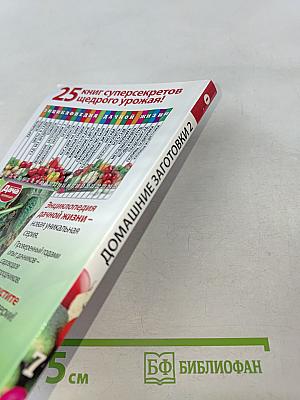 Домашние заготовки. Фрукты и ягоды. Книга вторая