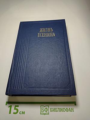 Жизнь Есенина Рассказывают современники