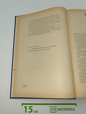 История русской советской литературы. Том II. 1930-1941