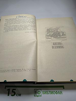 Жизнь Есенина Рассказывают современники