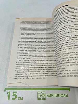 Ландшафтный дизайн