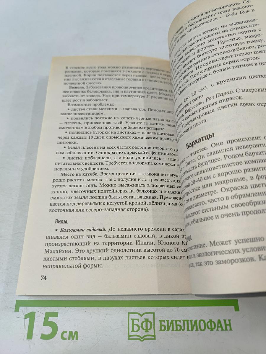 Цветы в саду