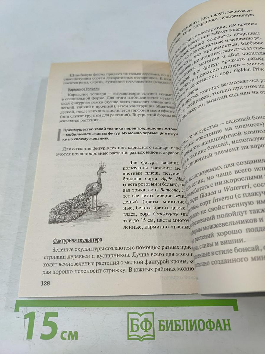 Цветы в саду