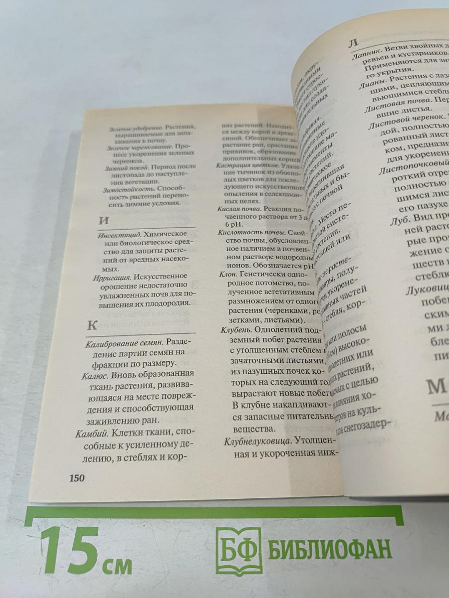 Цветы в саду