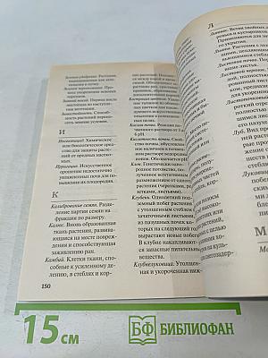 Цветы в саду