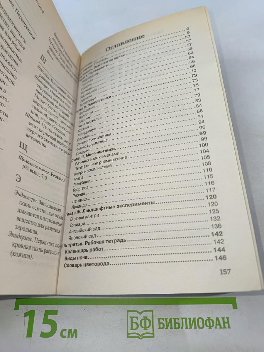 Цветы в саду