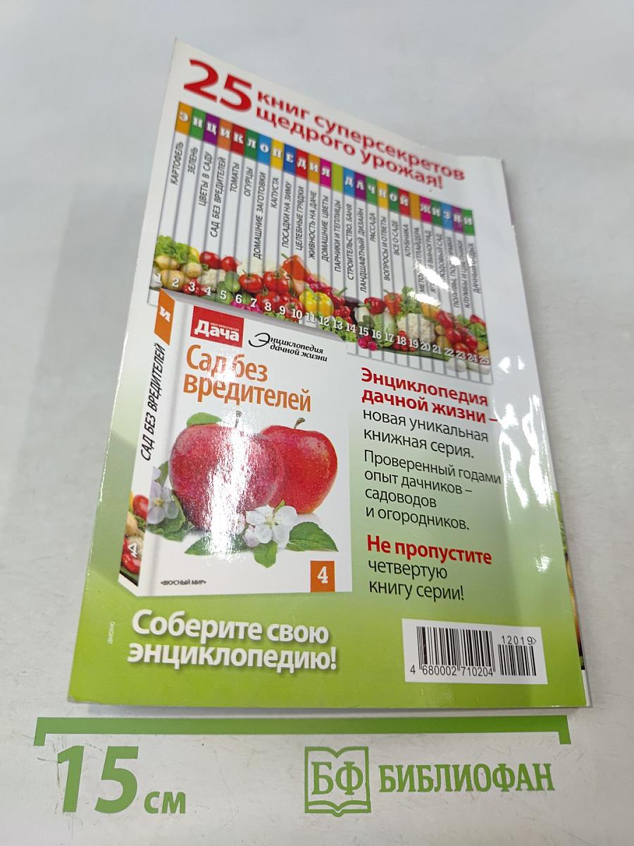 Цветы в саду