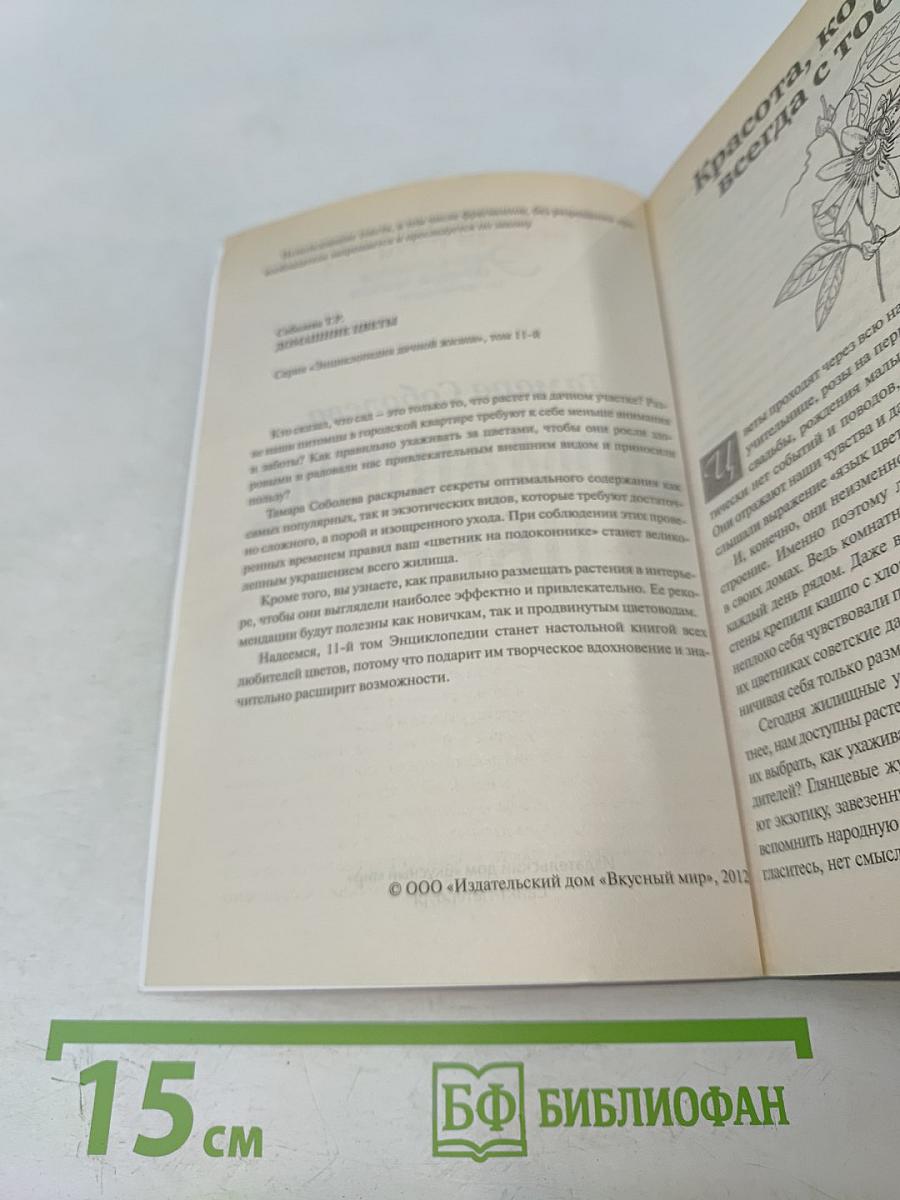 Домашние цветы