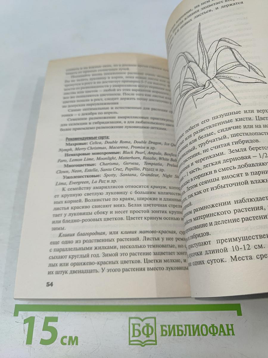 Домашние цветы