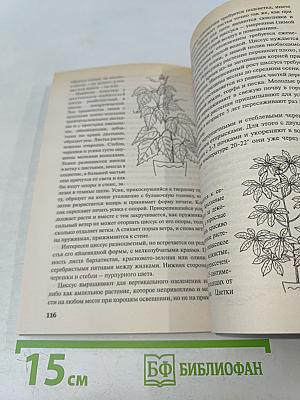 Домашние цветы