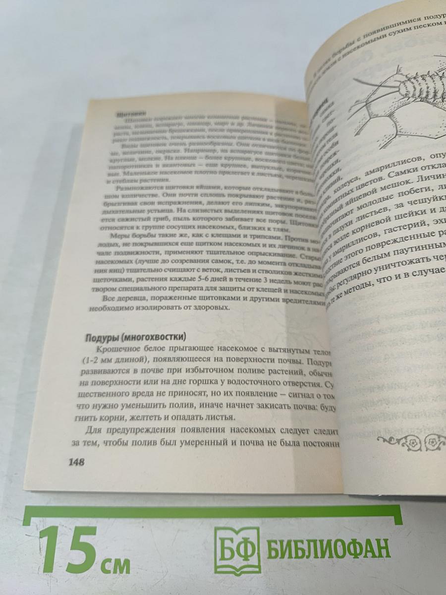 Домашние цветы