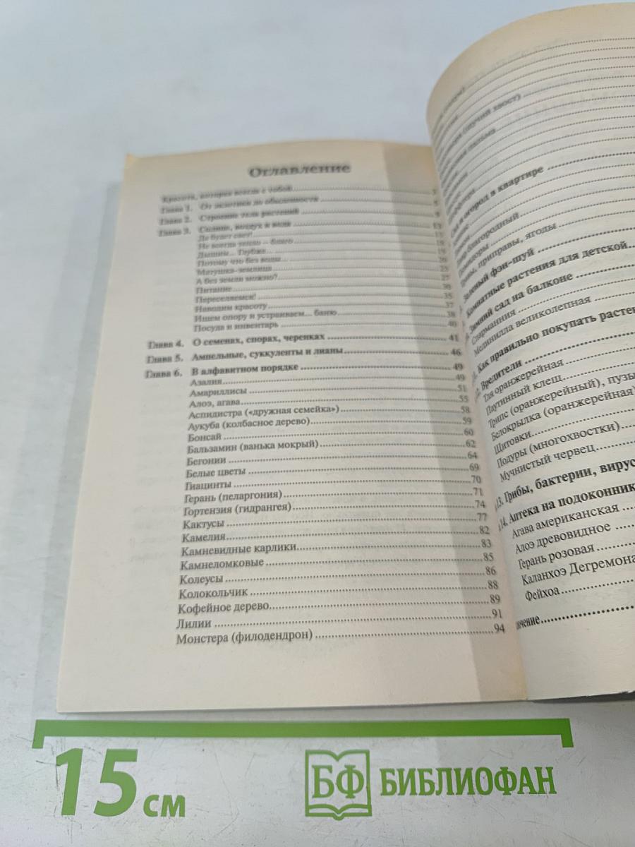 Домашние цветы