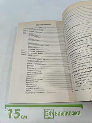 Домашние цветы