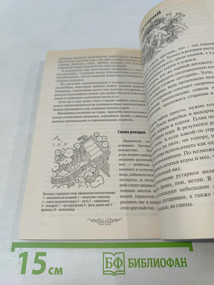 Клумбы и цветники