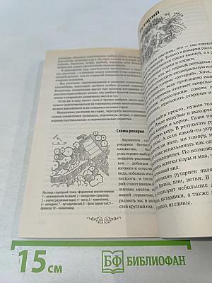 Клумбы и цветники